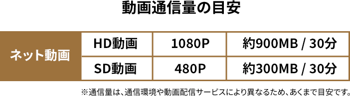 動画通信料の目安