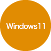 Windows 11