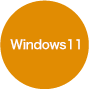 Windows 11
